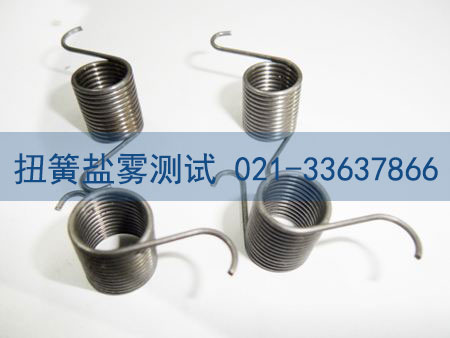 世源科技办理扭簧盐雾测试