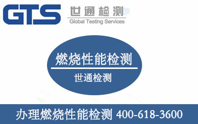 燃烧性能检测 燃烧性能检测