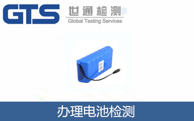 办理电池检测