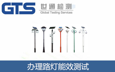 办理路灯能效测试