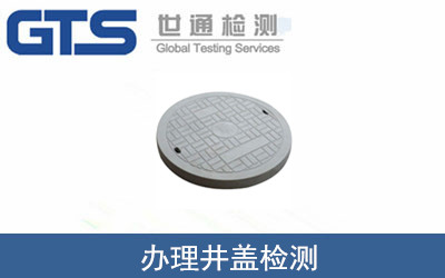 办理井盖检测
