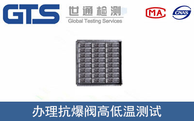 震业公司成功办理抗爆阀高低温测试