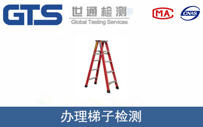办理梯子检测