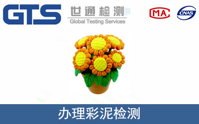 办理彩泥检测