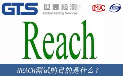 REACH测试