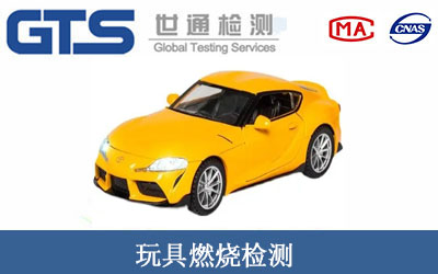 玩具燃烧检测