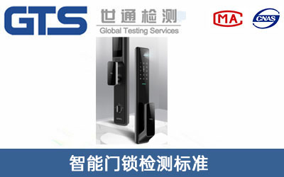 智能门锁检测