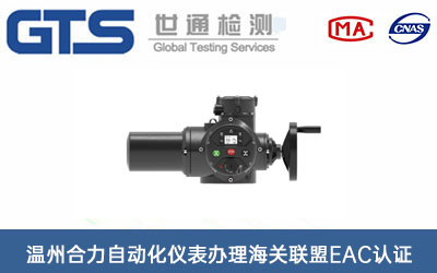 温州合力自动化仪表办理海关联盟EAC认证