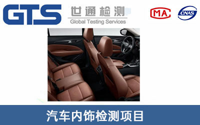 汽车内饰检测
