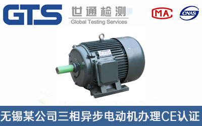 无锡某公司三相异步电动机CE认证
