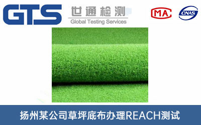 扬州某公司草坪底布办理REACH测试