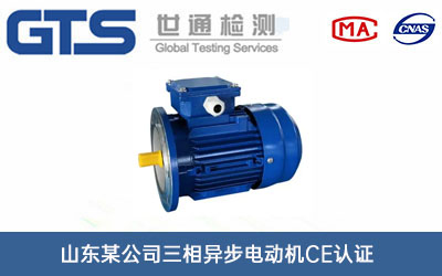 山东某公司三相异步电动机CE认证