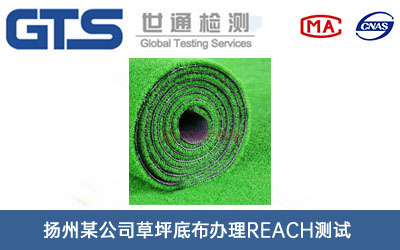 扬州某公司草坪底布办理REACH测试