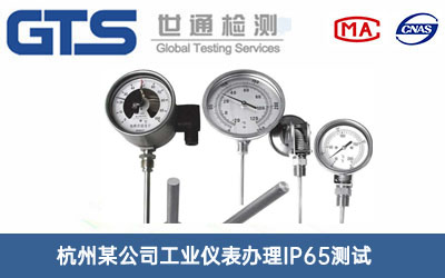 杭州某公司工业仪表办理IP65测试
