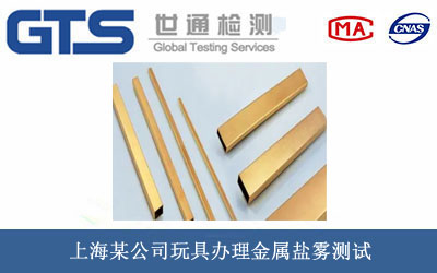 上海某公司玩具办理金属盐雾测试 上海某公司玩具办理金属盐雾测试