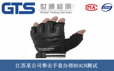 江苏某公司拳击手套办理REACH测试 江苏某公司拳击手套办理REACH测试