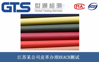 江苏某公司皮革办理REACH测试 江苏某公司皮革办理REACH测试