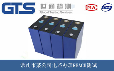 常州市某公司电芯办理REACH测试 常州市某公司电芯办理REACH测试