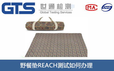 野餐垫REACH测试