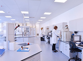 Phthalates (邻苯二甲酸酯)